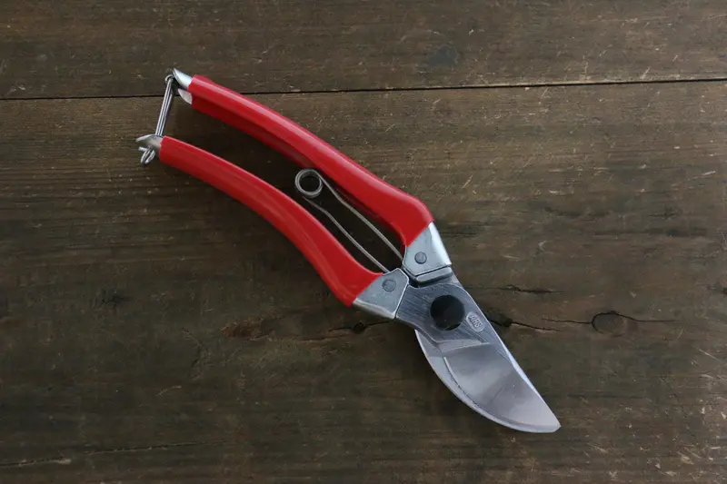 Ars Professional Pruning Shears Model 120S-8 – Ergonomic Bypass Design 1