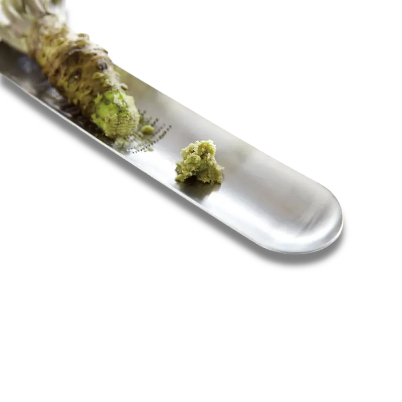 Eatoco Oros Tray Grater – Multi-Use Stainless Steel Grater For Ginger, Wasabi, And Hard Cheeses 1