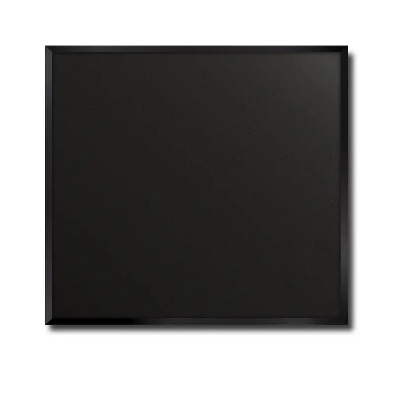 Magellan Black Flat-Glass Fireplace Door 1
