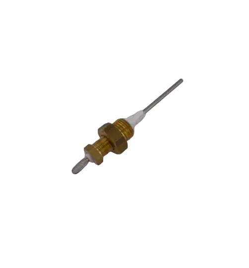 Nuova Simonelli Auto-Refill Water Level Probe Assembly 1